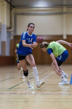 Bild 222 - wBJ TSV Ellerau - HSG Stoertal Hummeln : Ergebnis: 26:19